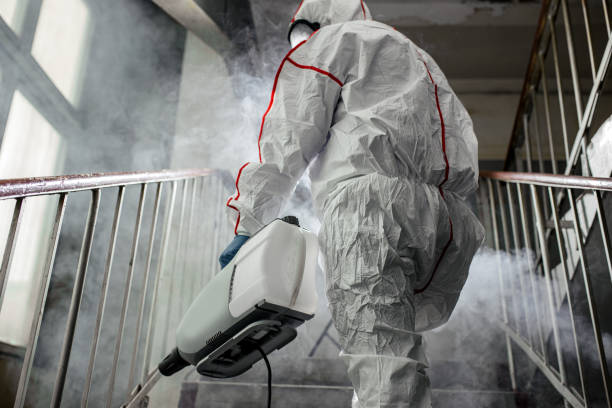 Best Mold Odor Removal Services  in Mitchell, SD